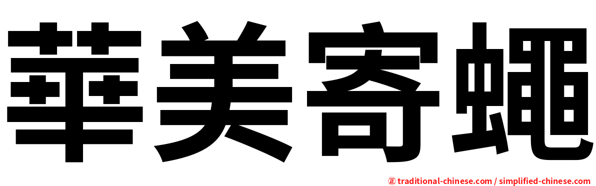 華美寄蠅