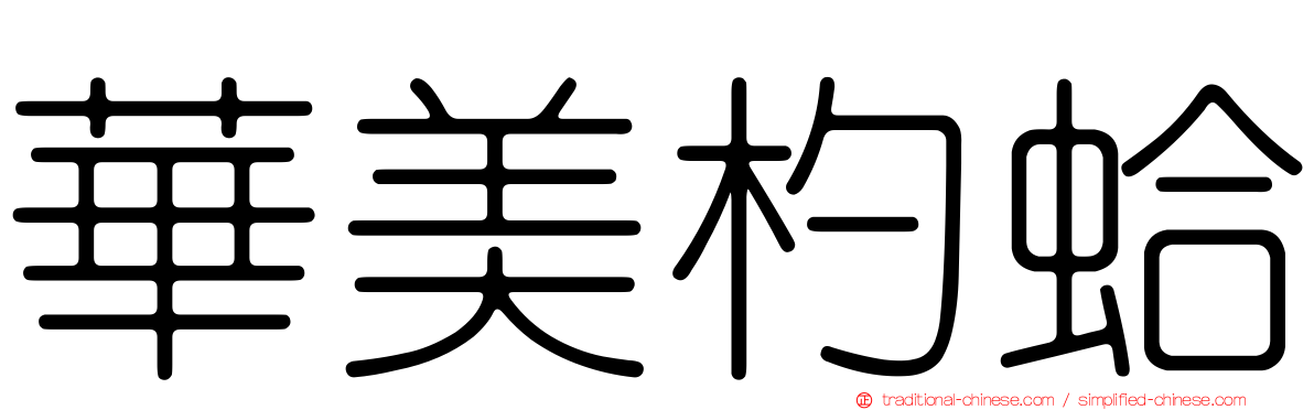 華美杓蛤