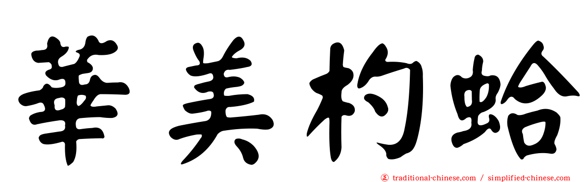 華美杓蛤