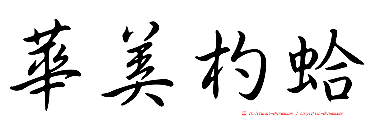 華美杓蛤
