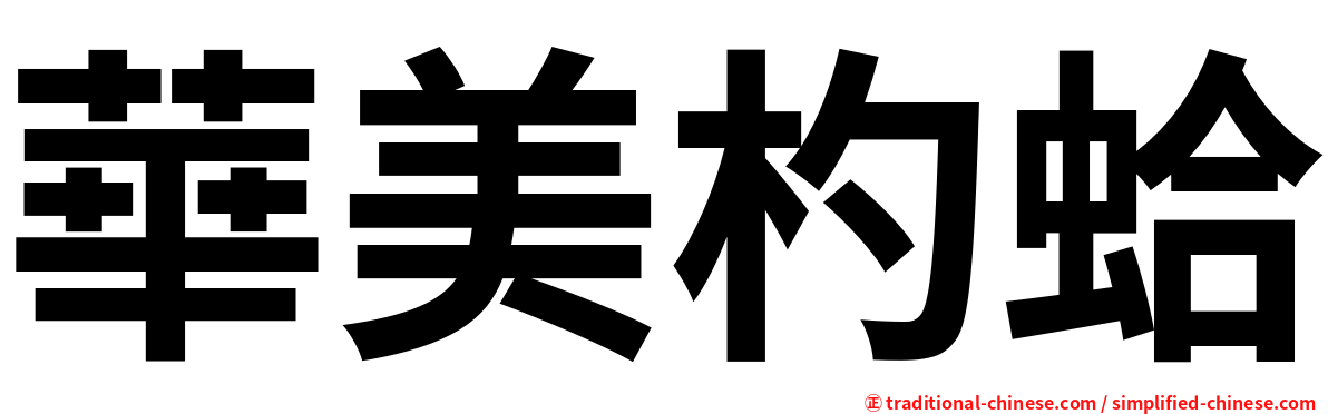 華美杓蛤