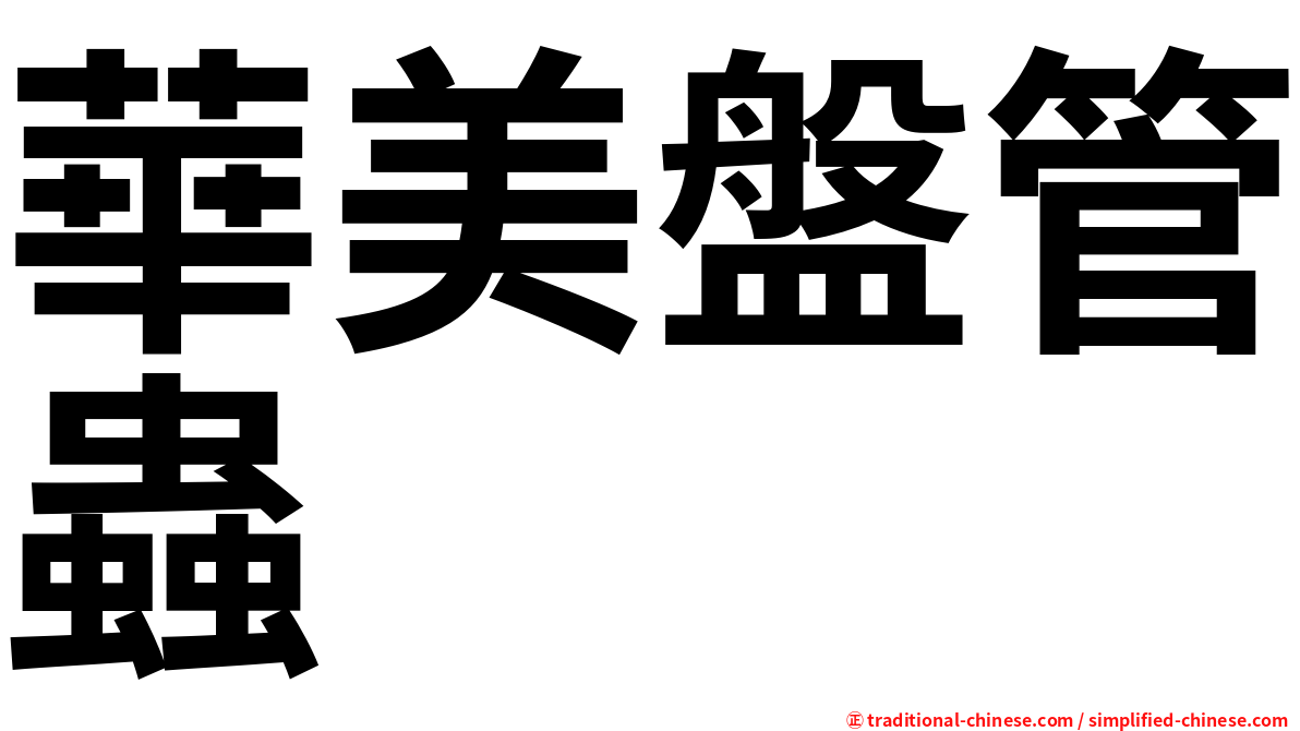 華美盤管蟲