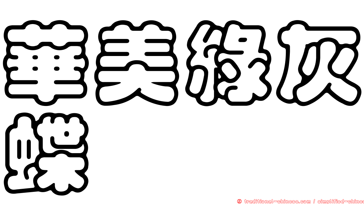 華美綠灰蝶