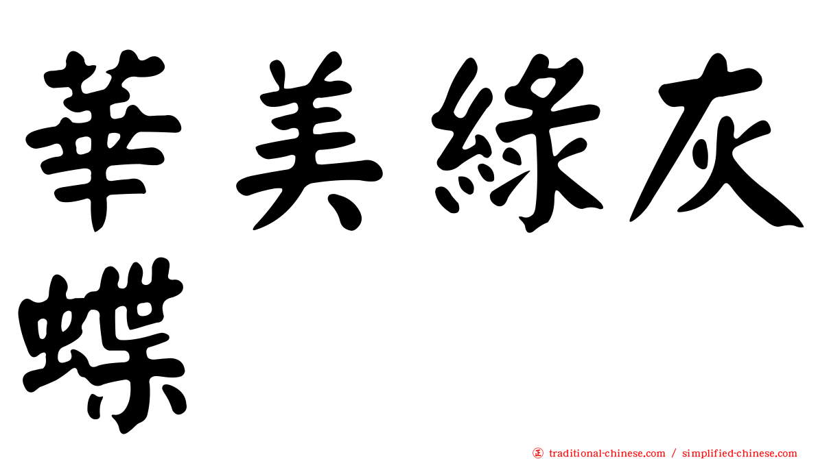 華美綠灰蝶