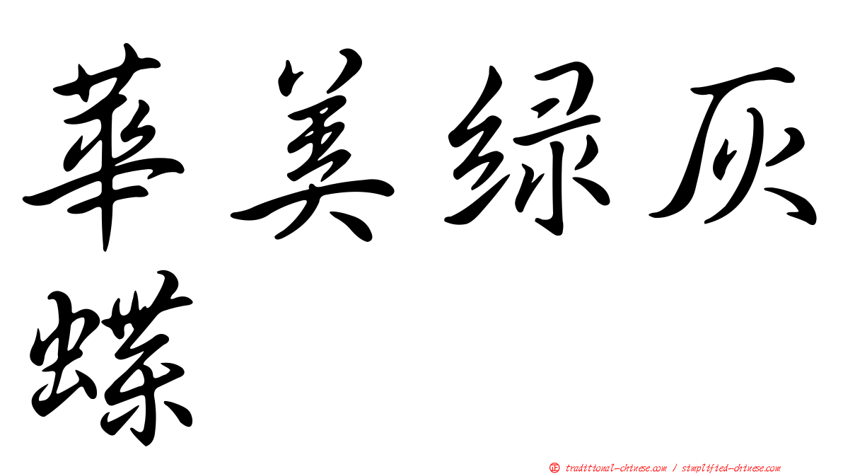 華美綠灰蝶