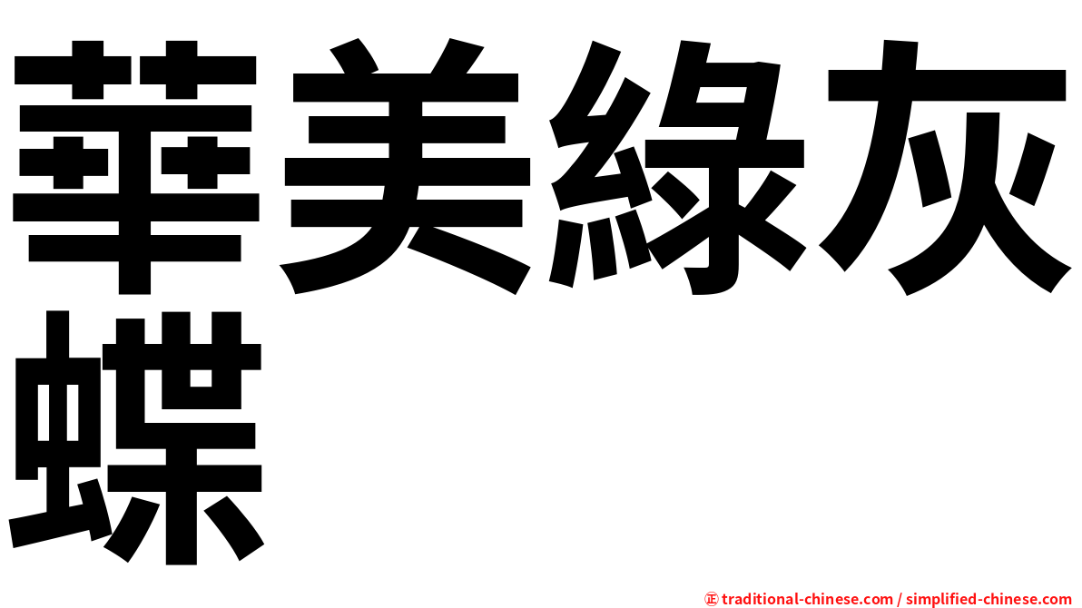 華美綠灰蝶