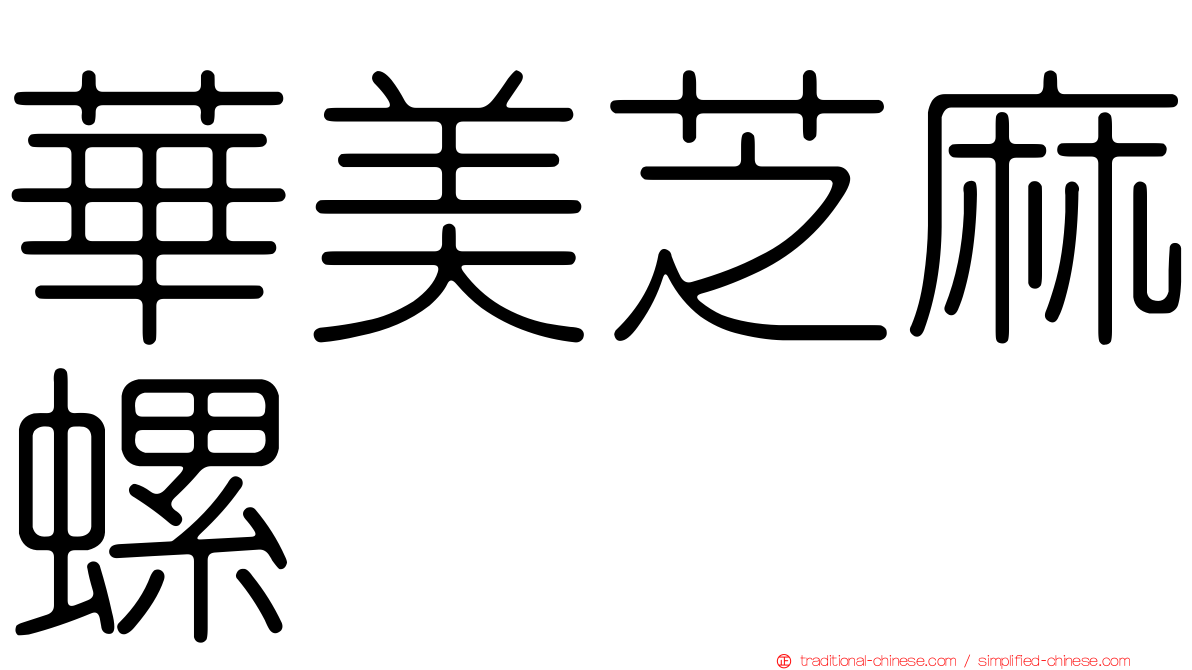 華美芝麻螺