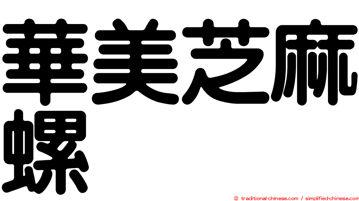 華美芝麻螺