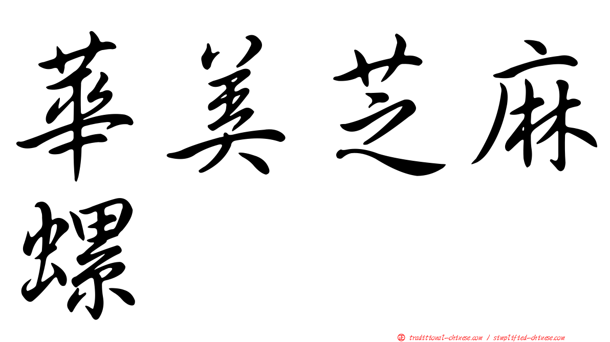 華美芝麻螺