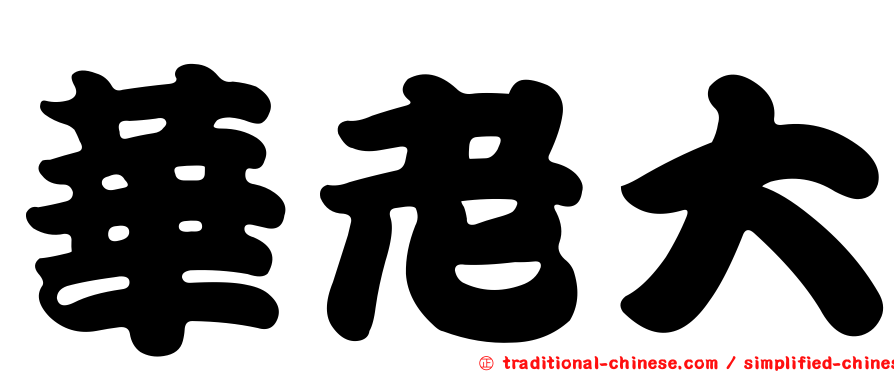華老大