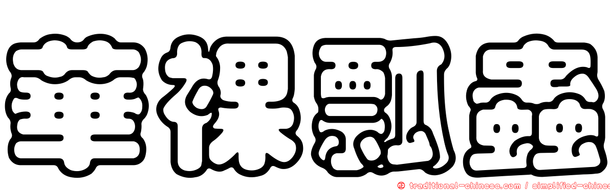 華裸瓢蟲
