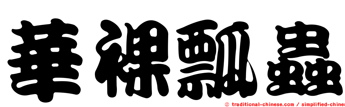 華裸瓢蟲