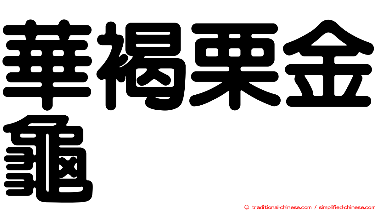 華褐栗金龜