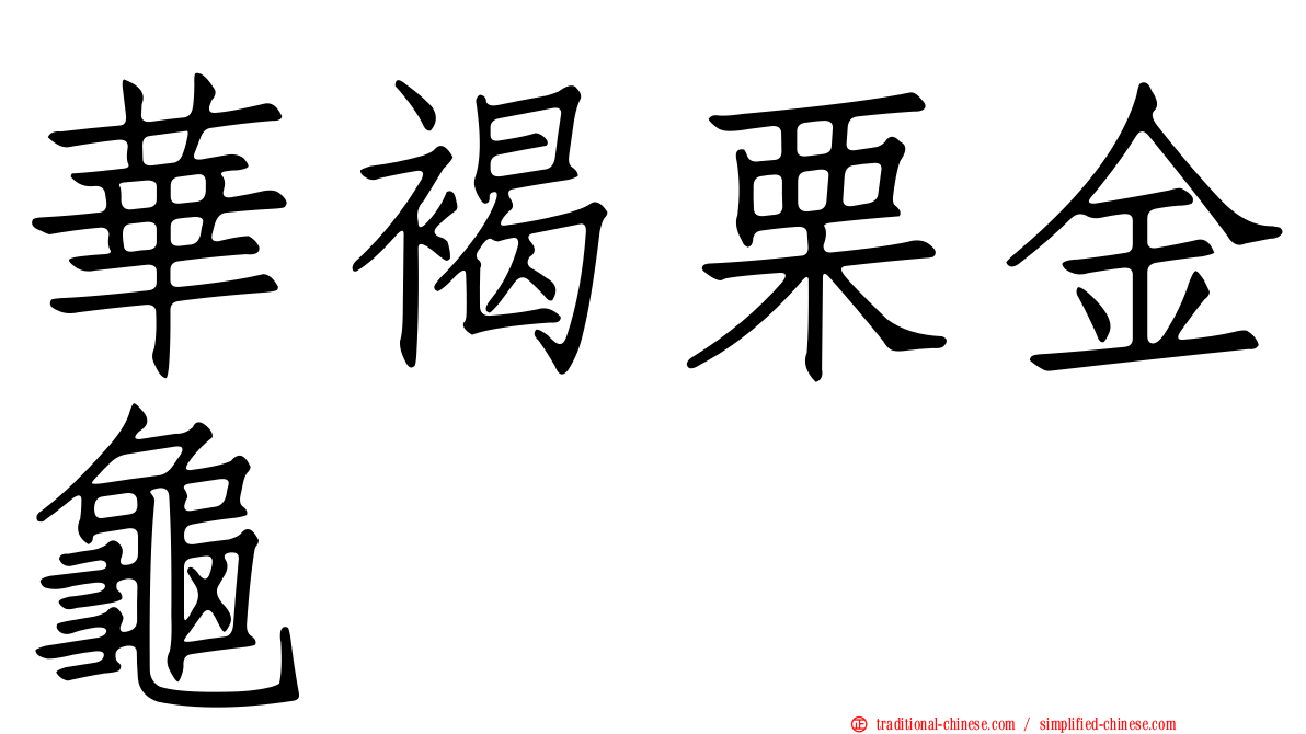 華褐栗金龜