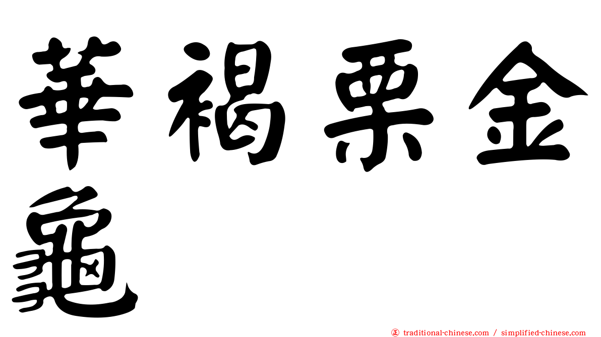 華褐栗金龜