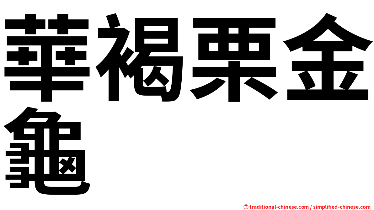 華褐栗金龜