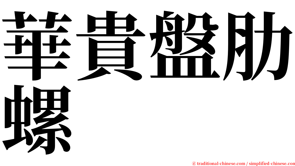 華貴盤肋螺 serif font