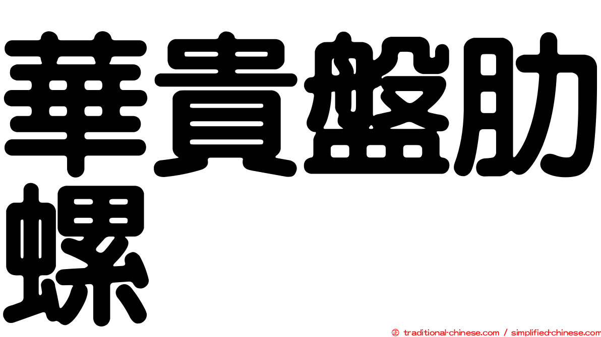 華貴盤肋螺