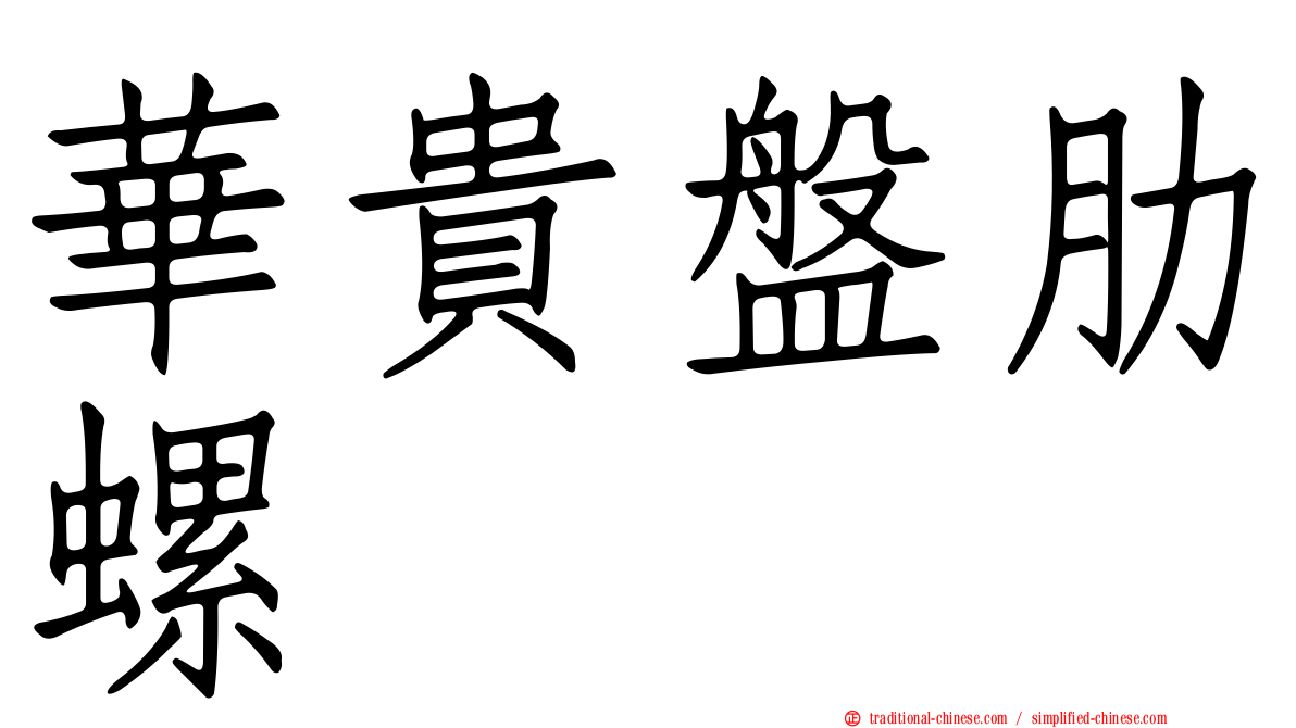 華貴盤肋螺