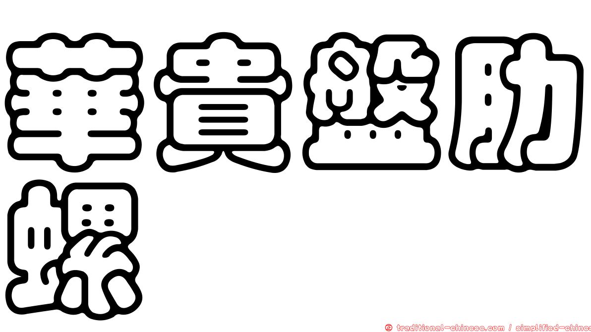 華貴盤肋螺