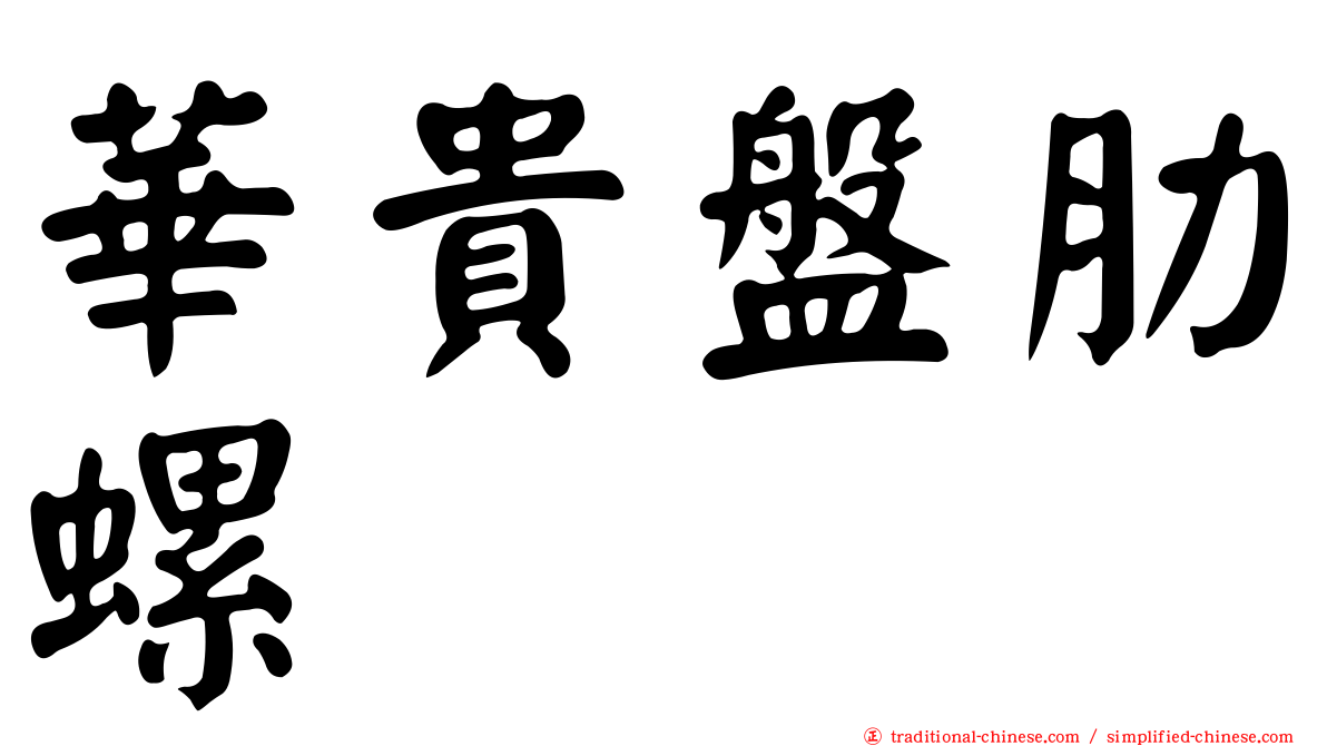 華貴盤肋螺