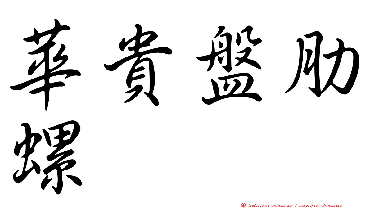 華貴盤肋螺