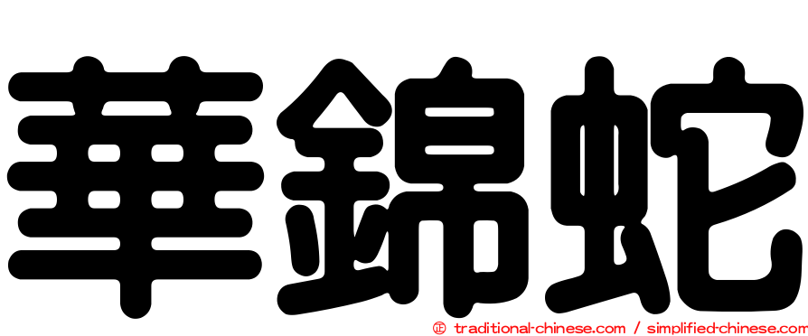華錦蛇