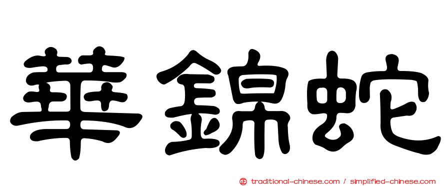 華錦蛇
