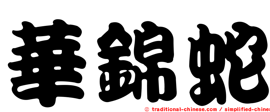 華錦蛇