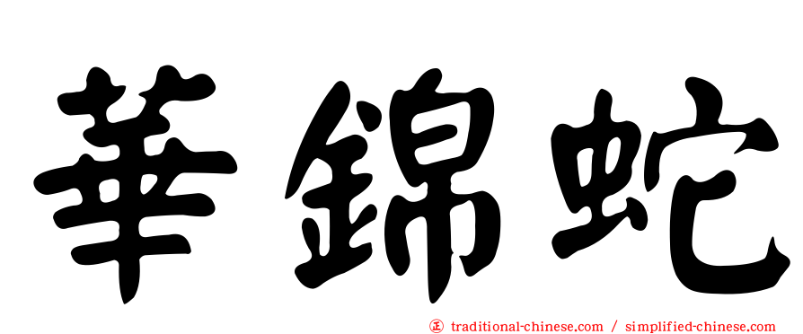 華錦蛇