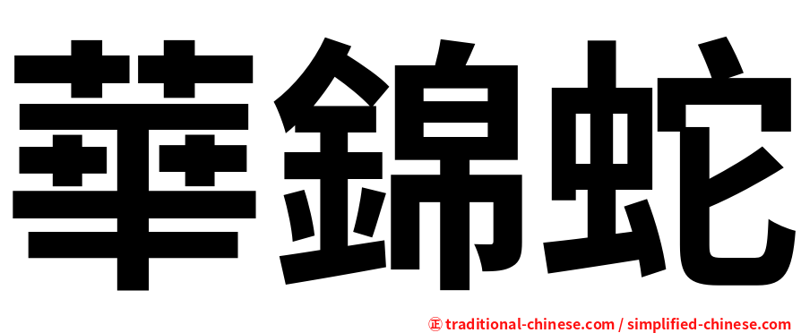 華錦蛇