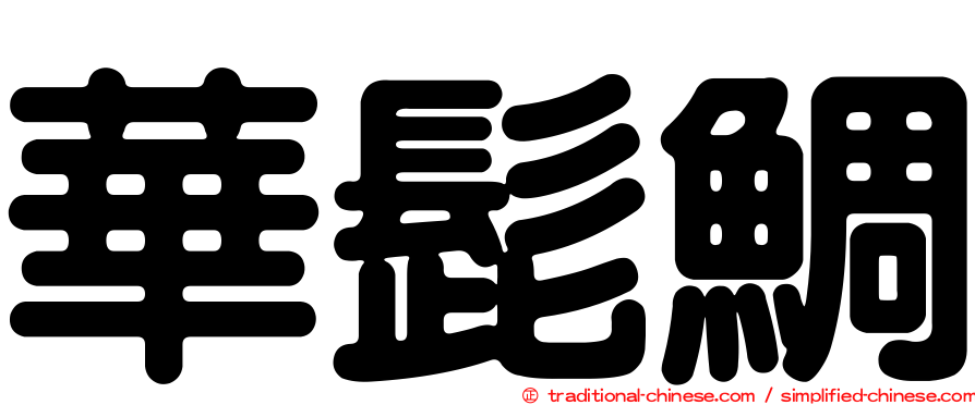 華髭鯛