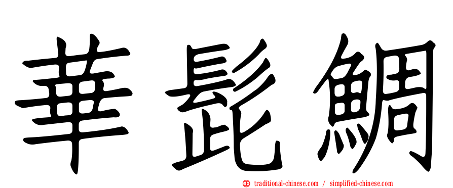 華髭鯛