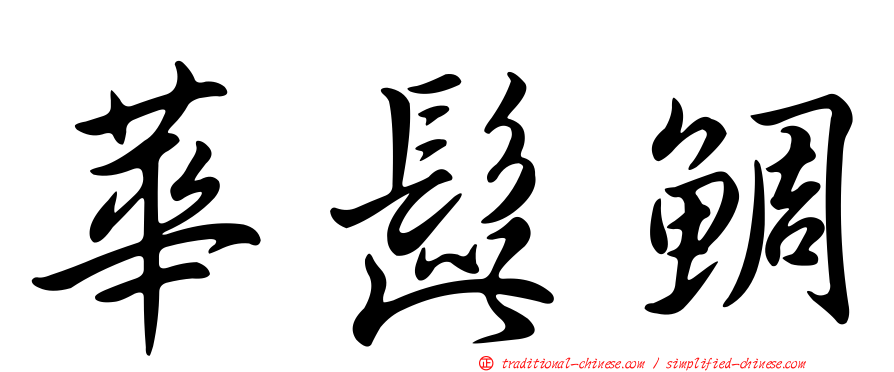 華髭鯛