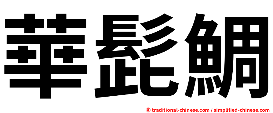 華髭鯛