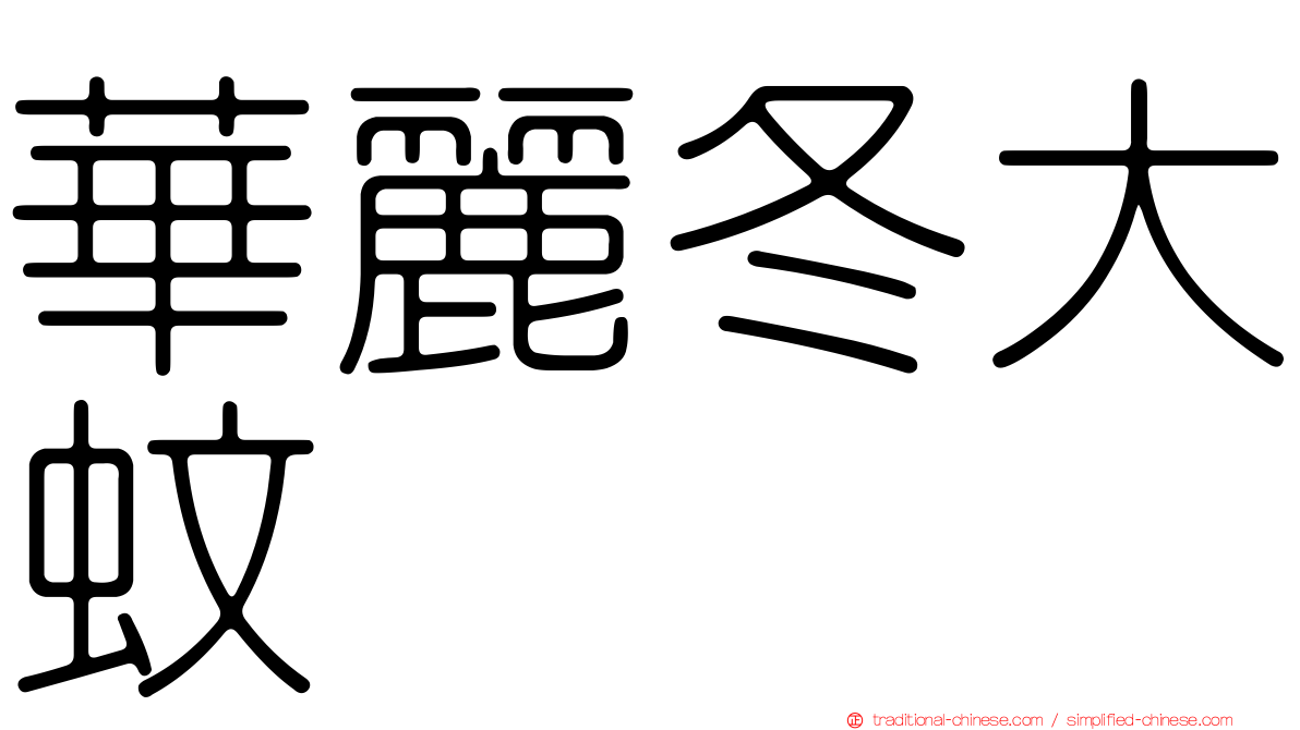 華麗冬大蚊