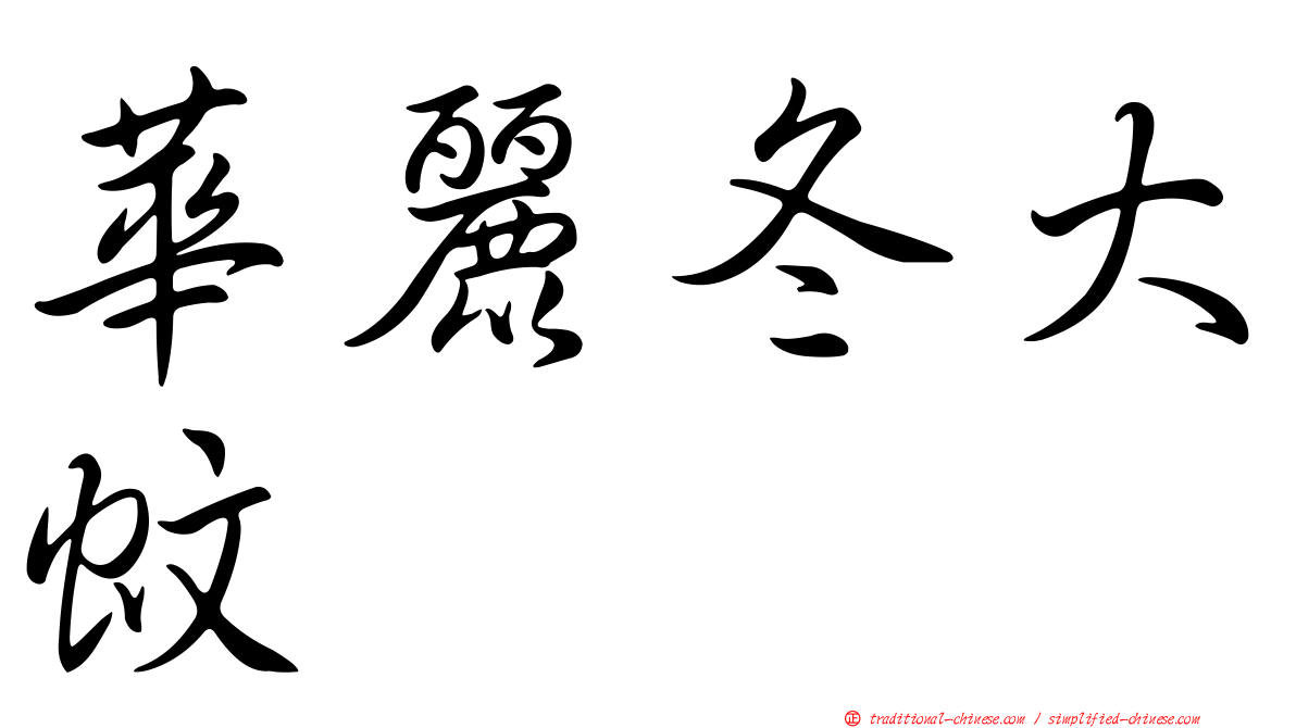 華麗冬大蚊