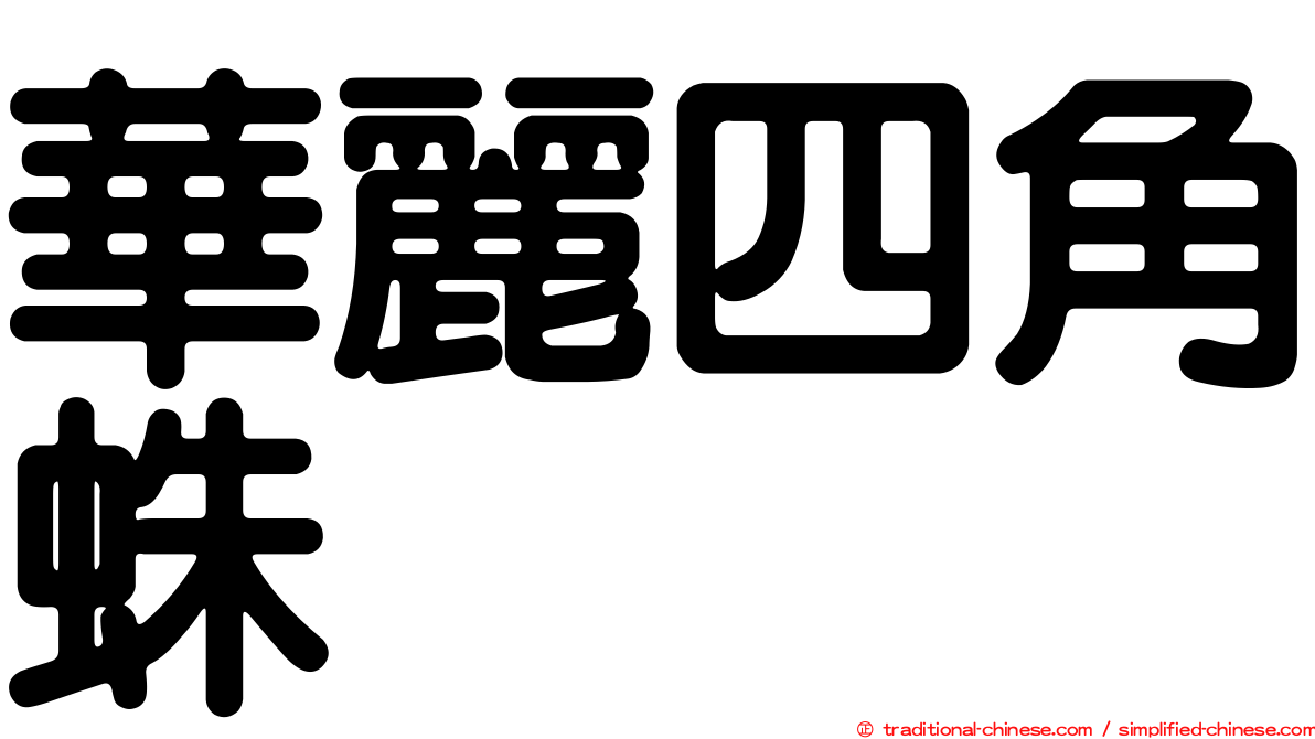 華麗四角蛛