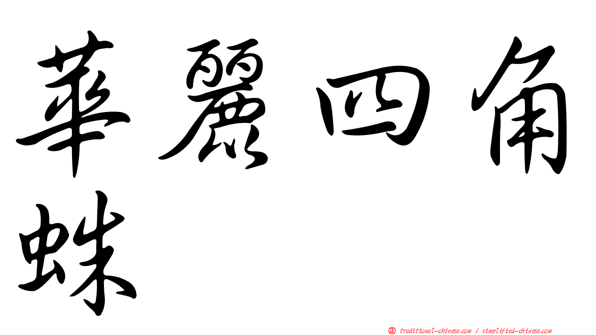華麗四角蛛