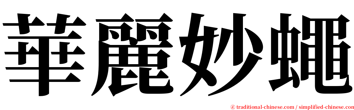 華麗妙蠅 serif font