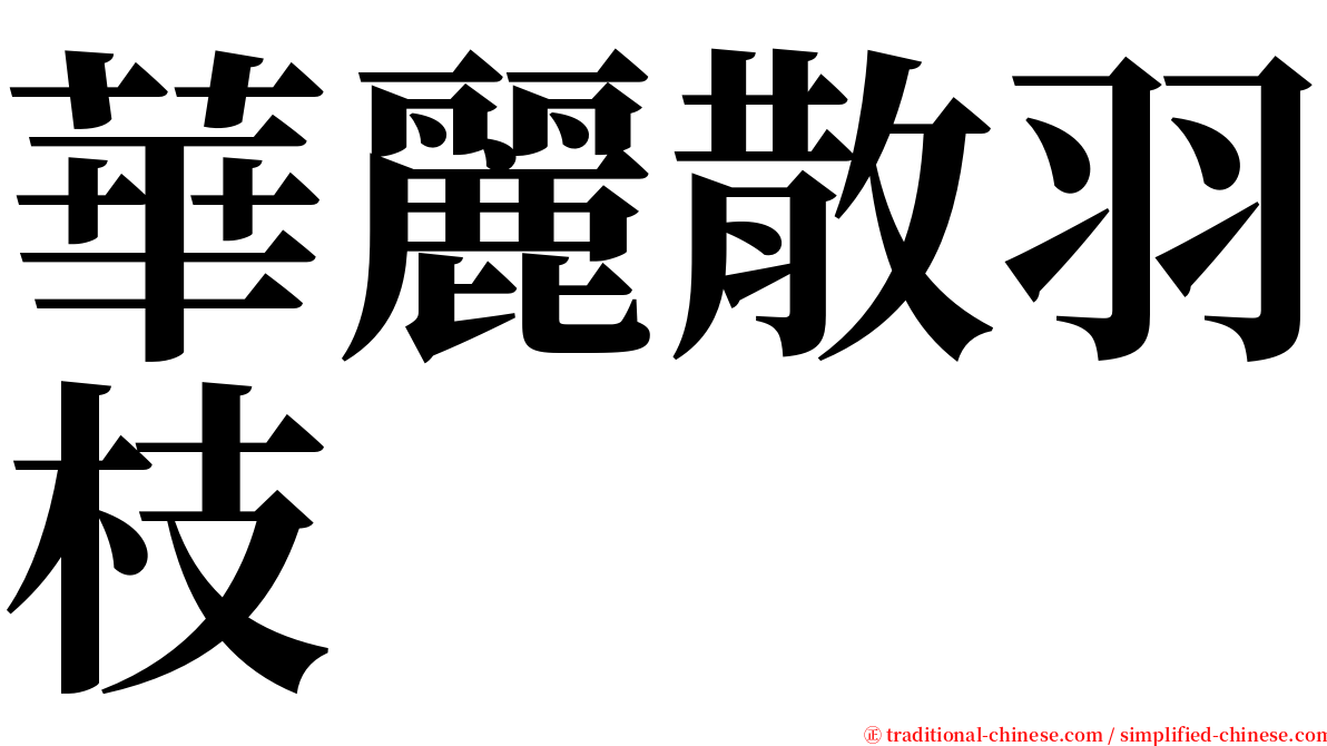 華麗散羽枝 serif font