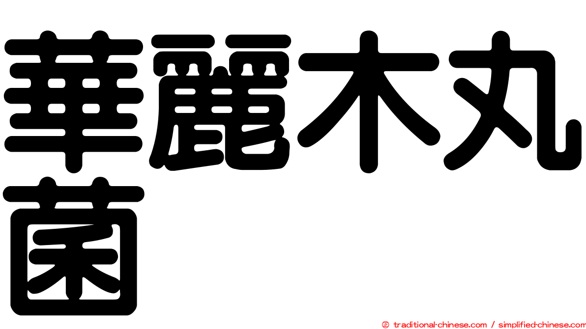 華麗木丸菌