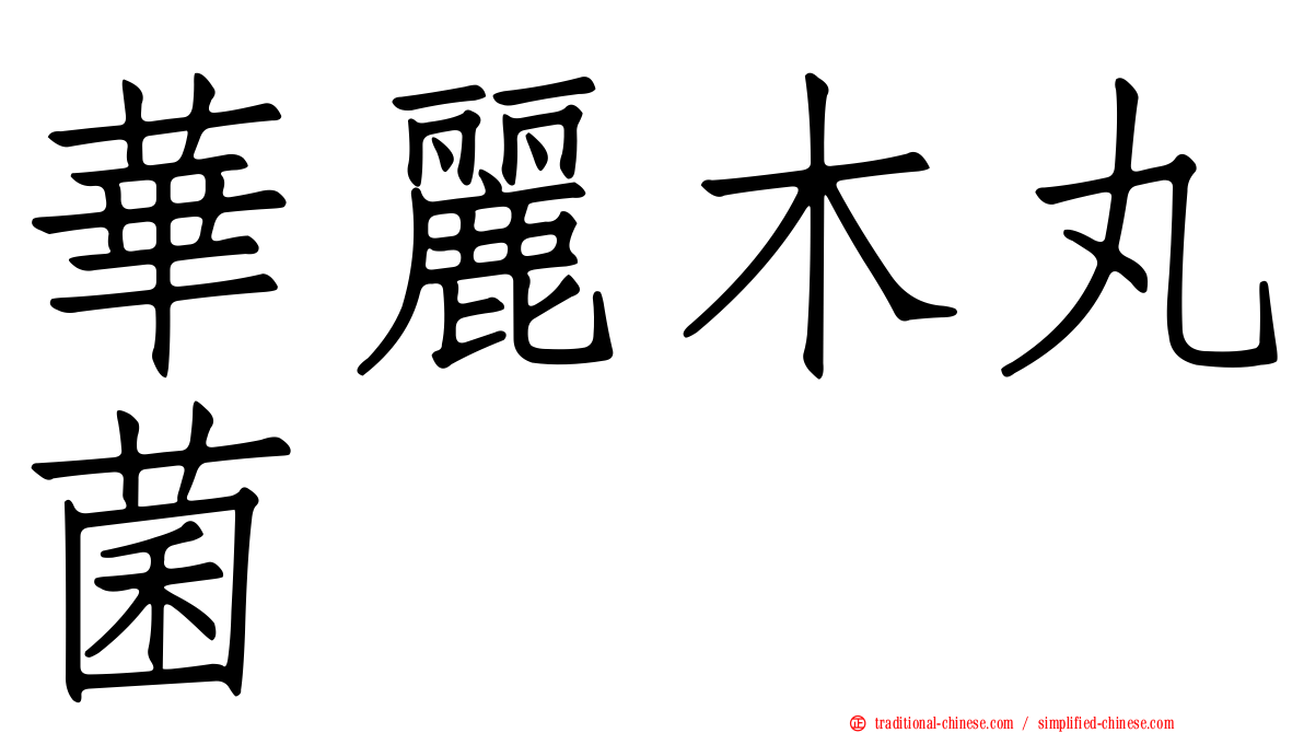 華麗木丸菌