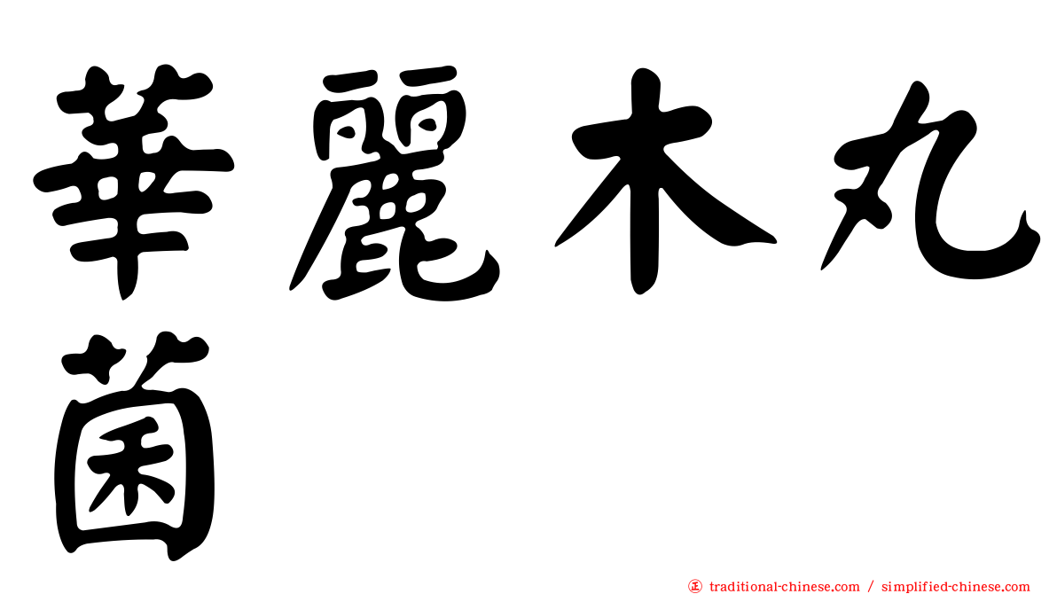 華麗木丸菌