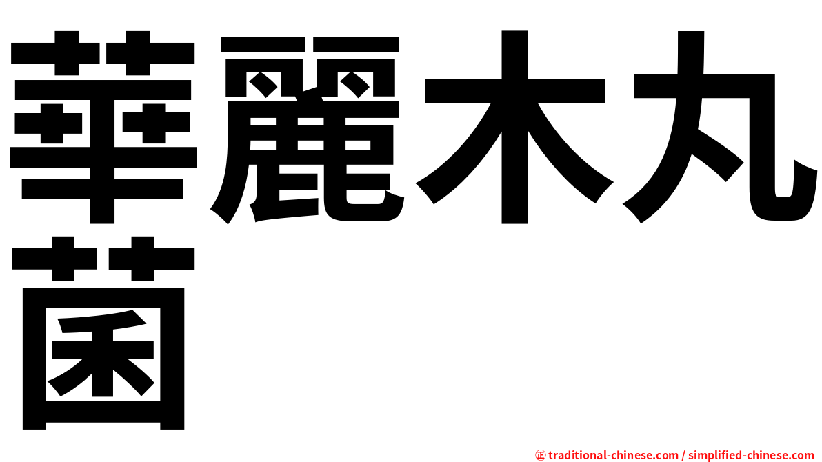 華麗木丸菌