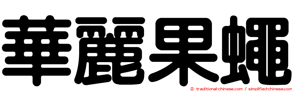 華麗果蠅