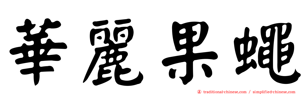 華麗果蠅