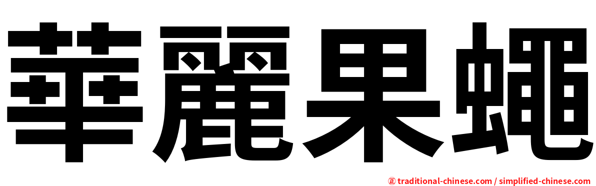華麗果蠅