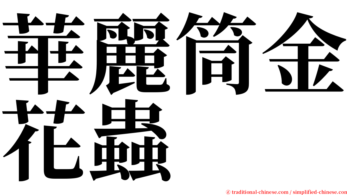 華麗筒金花蟲 serif font