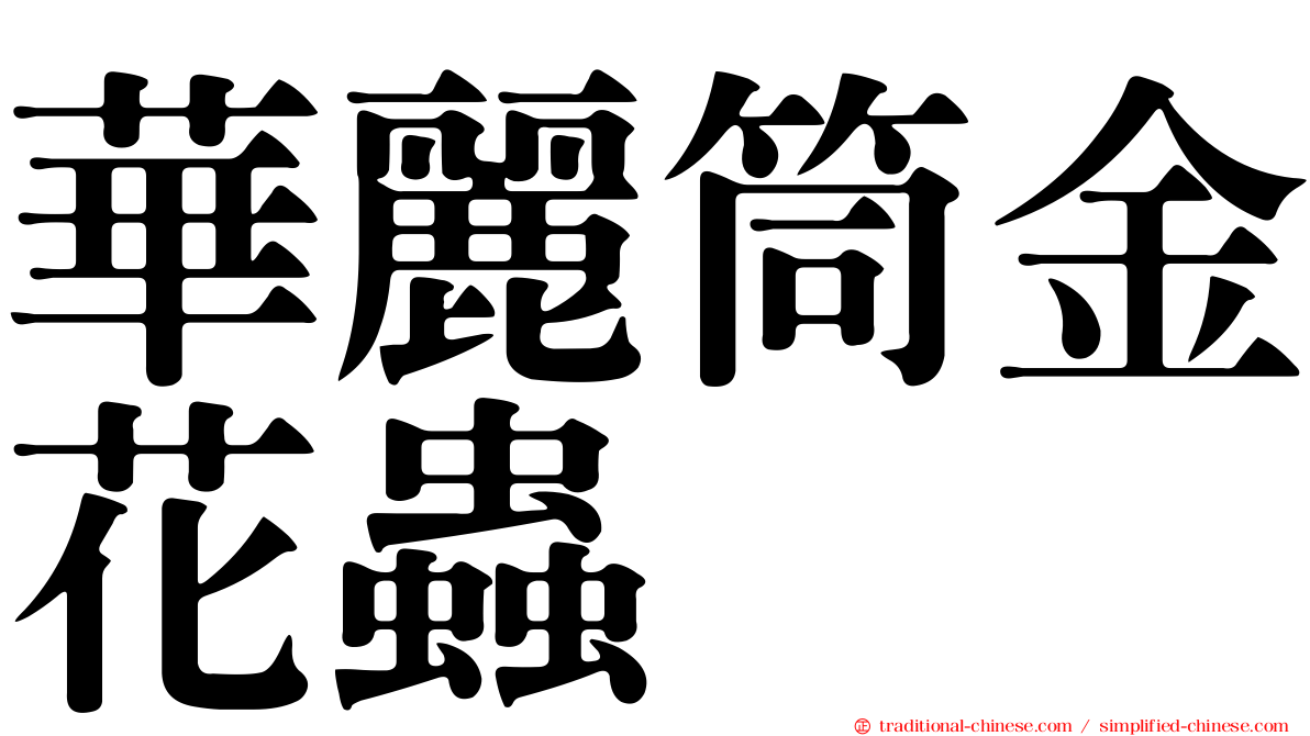 華麗筒金花蟲